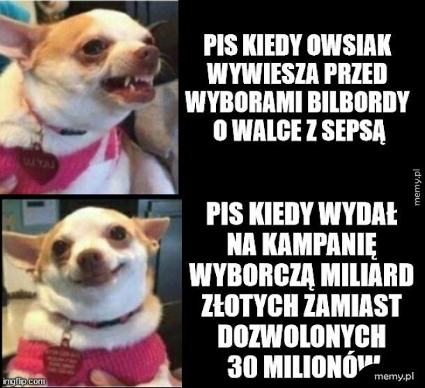 Pokonaliśmy tę zarazę!