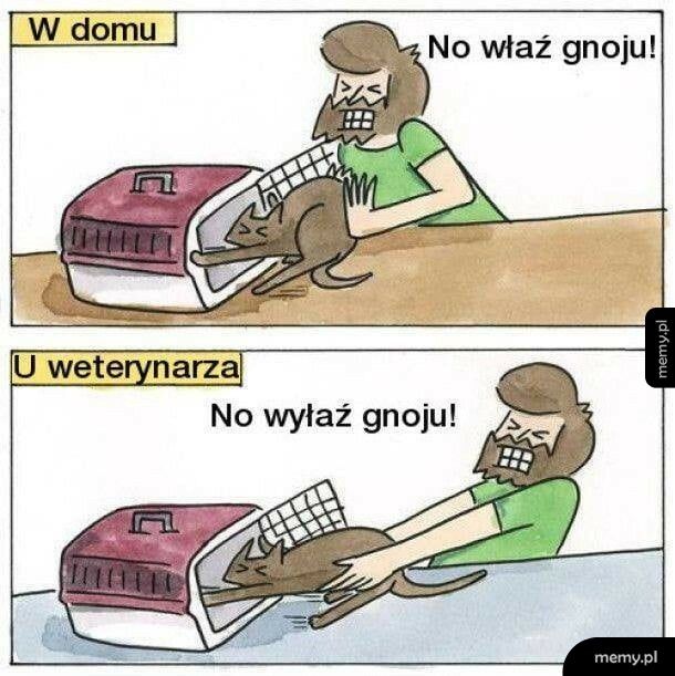 U wteerynarza