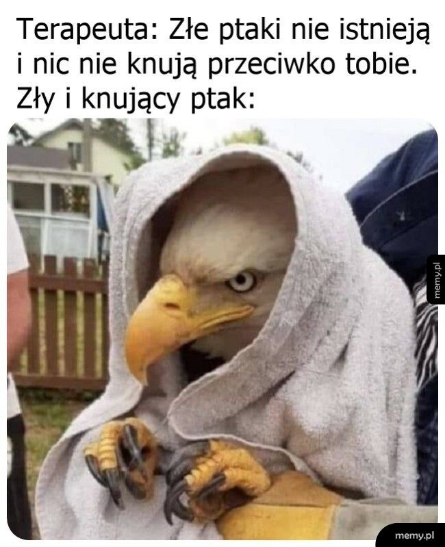 Zły i knujący ptak