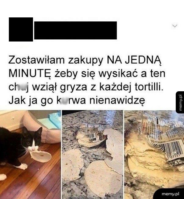 Zakupy zostawione bez nadzoru