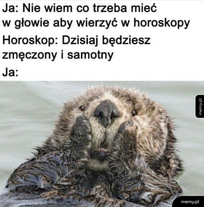 Horoskopy