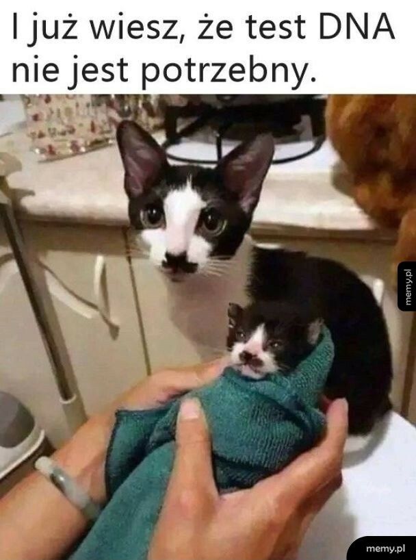 Genów nie oszukasz