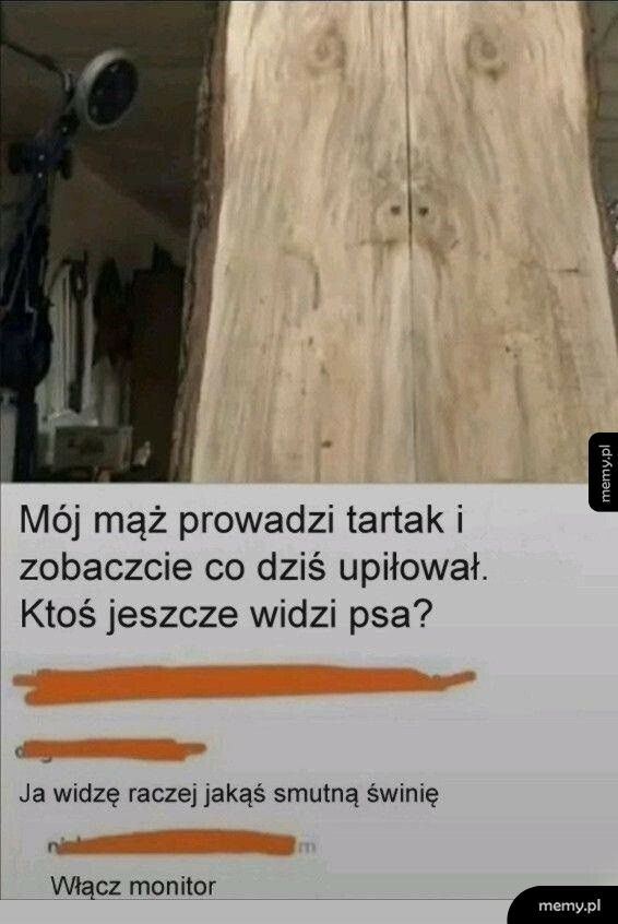 Pyszczek psa