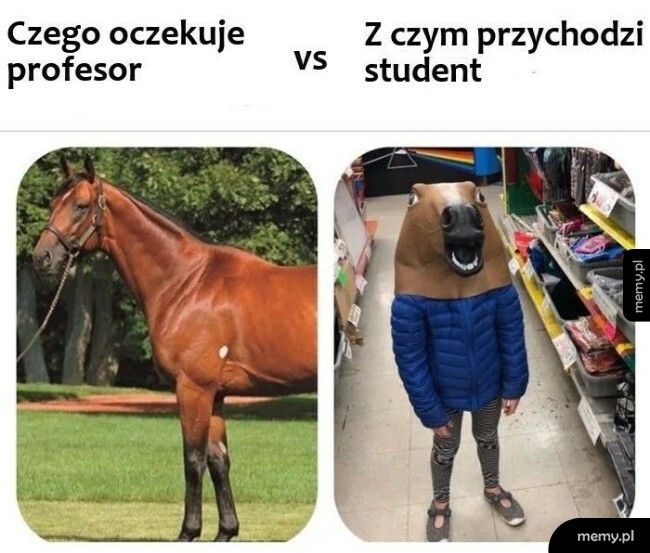 Prace studentów