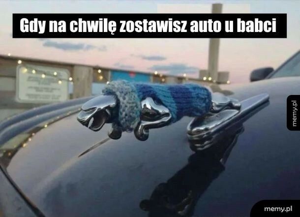 Babcia zadbała