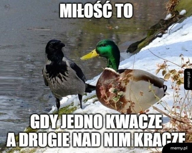 Miłość...