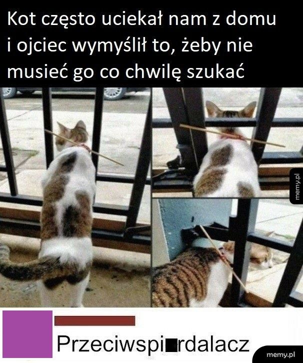 Już nie ucieka