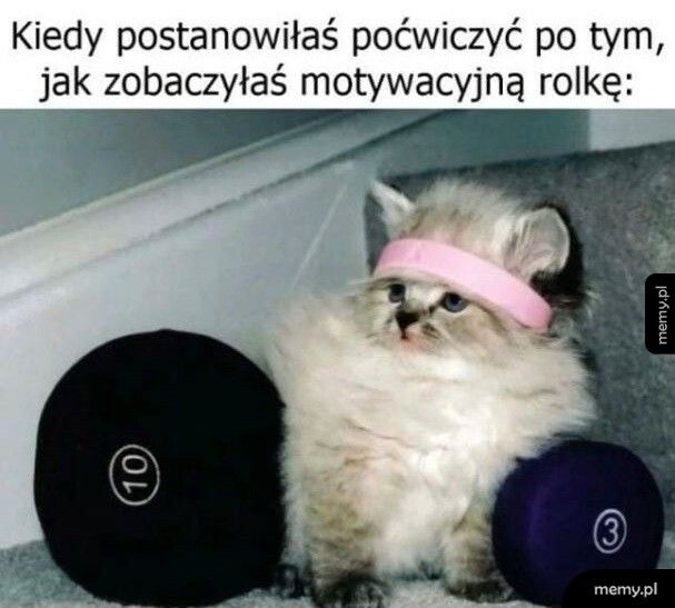 Motywacyjna rolka