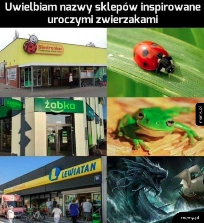 Nazwy sklepów