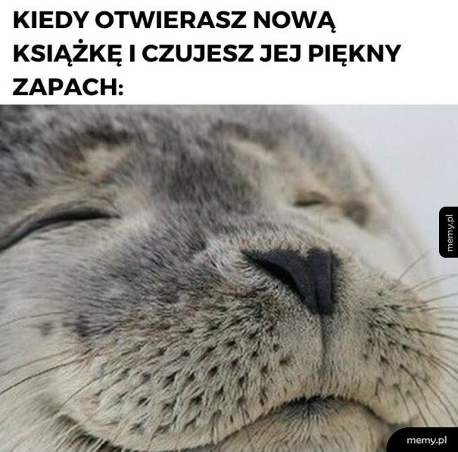 Zapach nowej książki