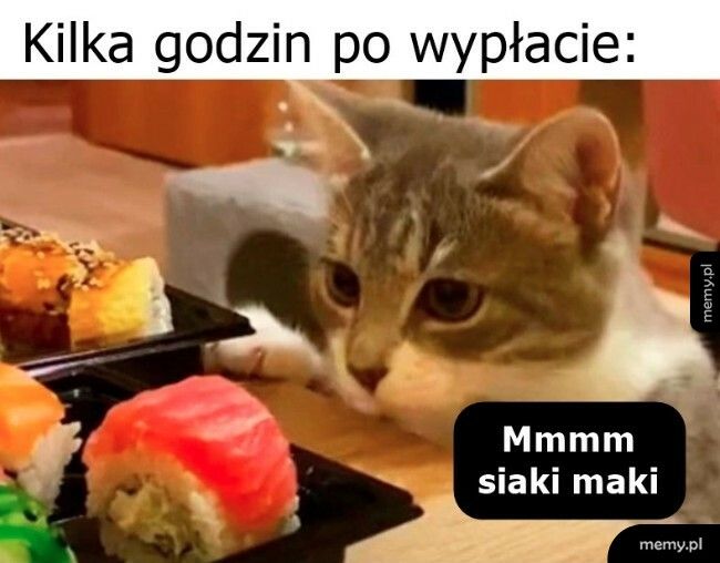 Kilka godzin po wypłacie