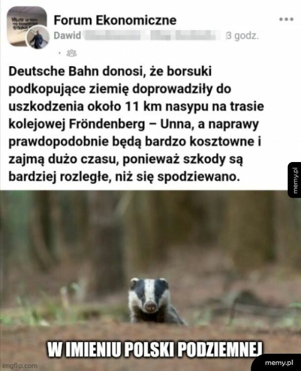 W imieniu polski podziemnej