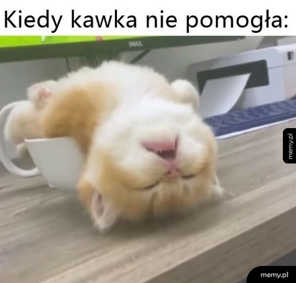 Kiedy kawa nie pomogła