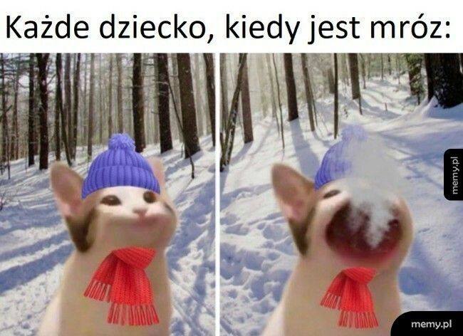 Nie tylko dzieci