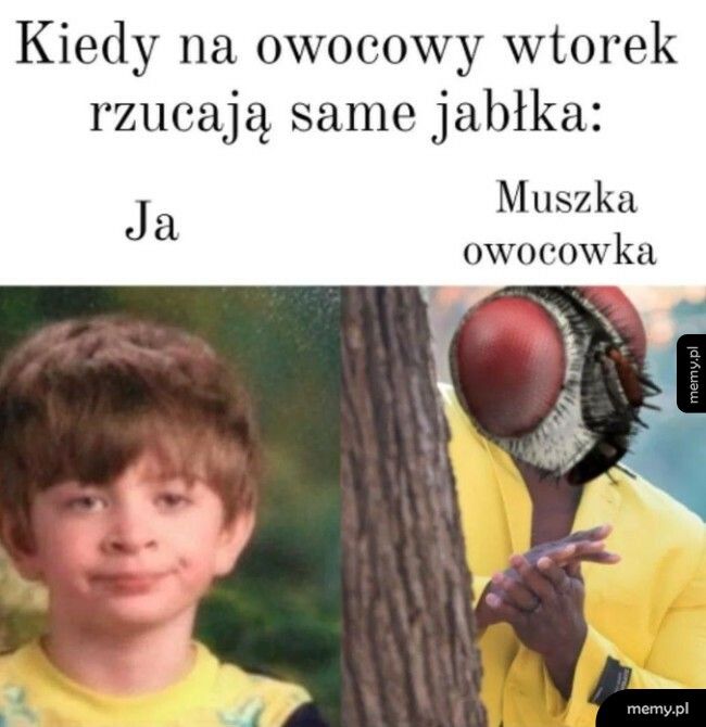 Owocowy wtorek