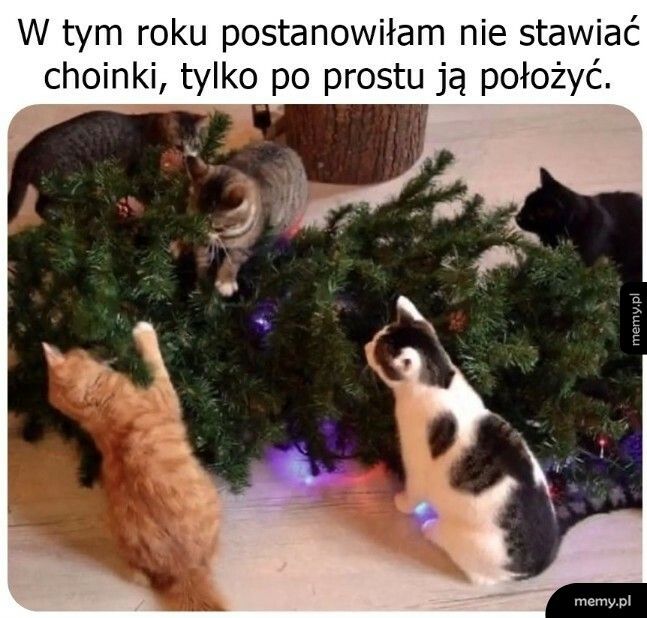 A niech sobie leży