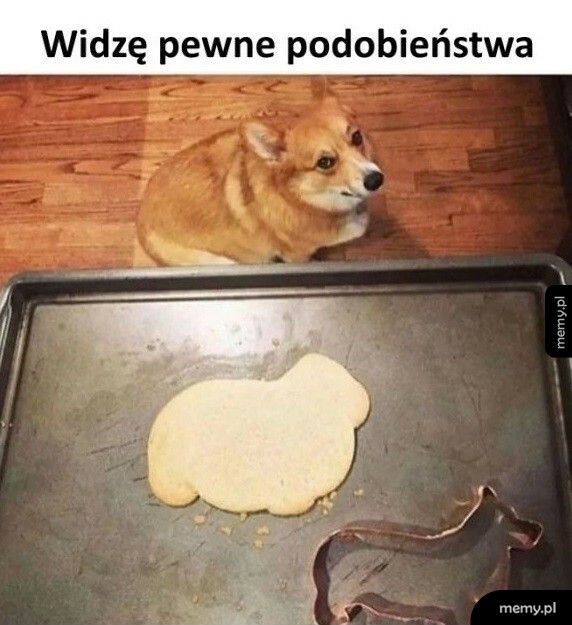 Podobieństwa