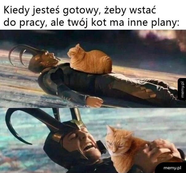 Nigdzie nie idziesz, głaskaj mnie