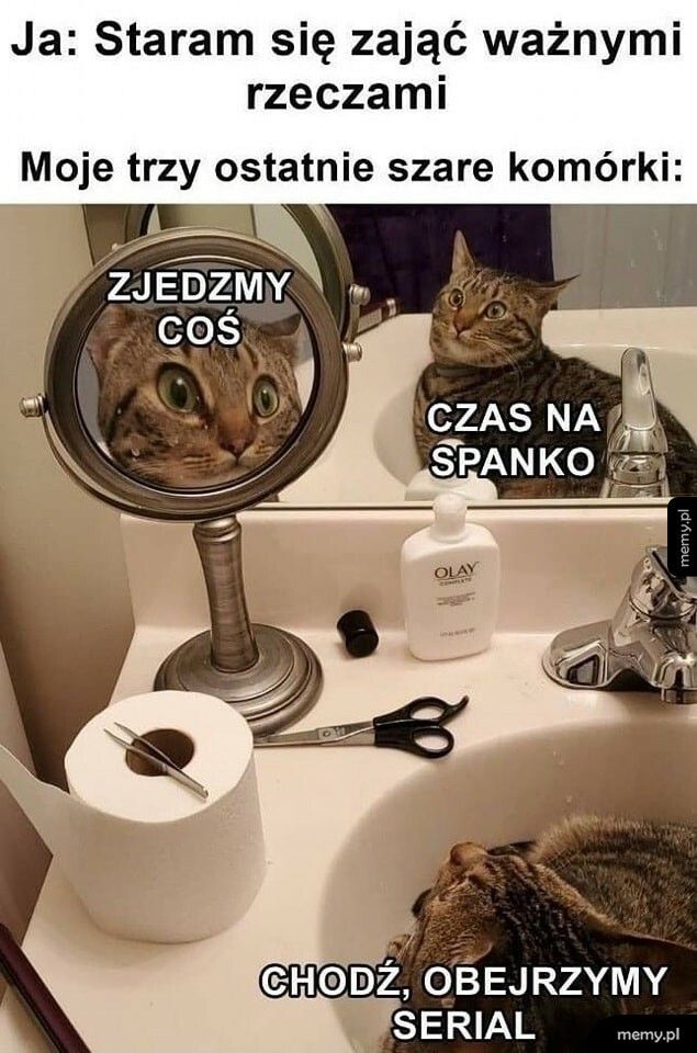 3 ostatnie szare komórki