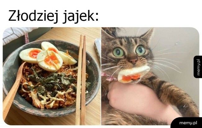 Złodziej