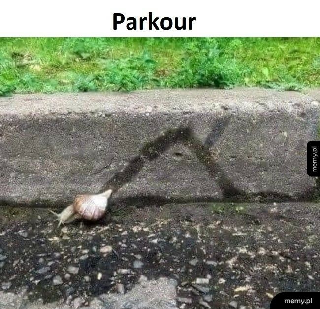 Parkour