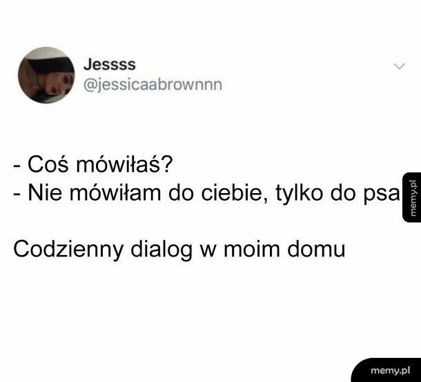 Kiedy w domu jest zwierzak