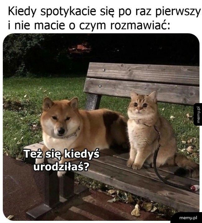 Trochę niezręcznie