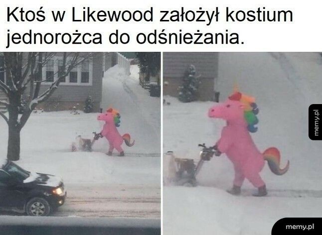 Odśnieżanie w wielkim stylu