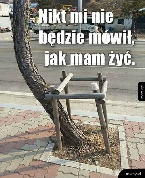 Życie po swojemu