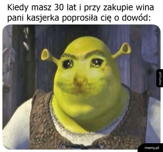 Aż się człowiek wzruszył