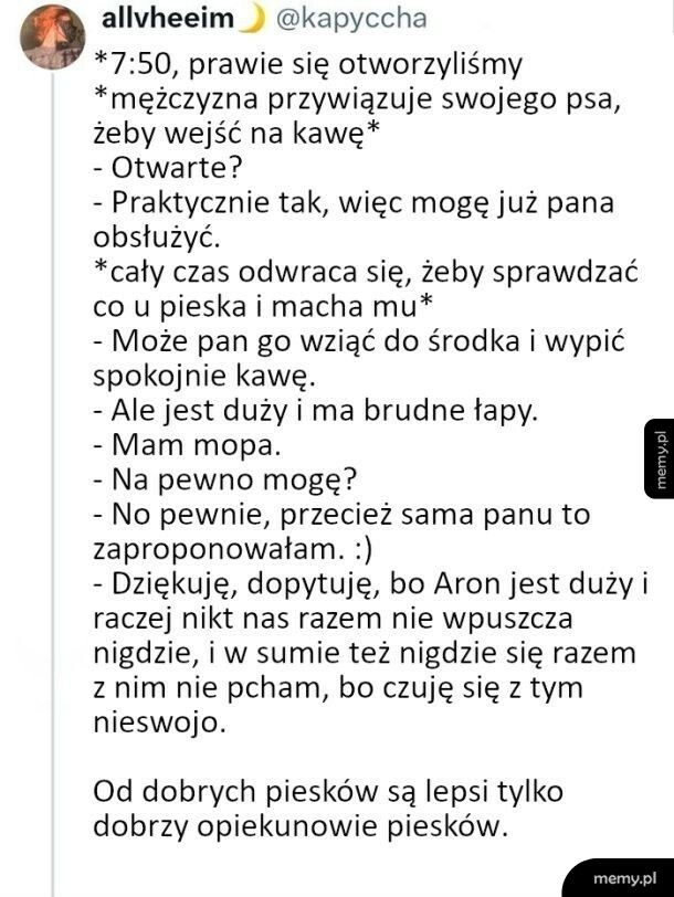 Piesek przed kawiarnią