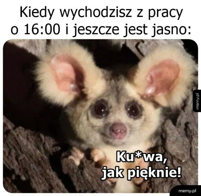 Aż chce się żyć!