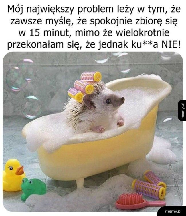 Ciągle ten sam błąd