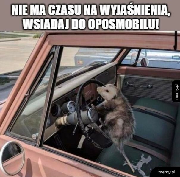 Nie ma czasu na wyjaśnienia