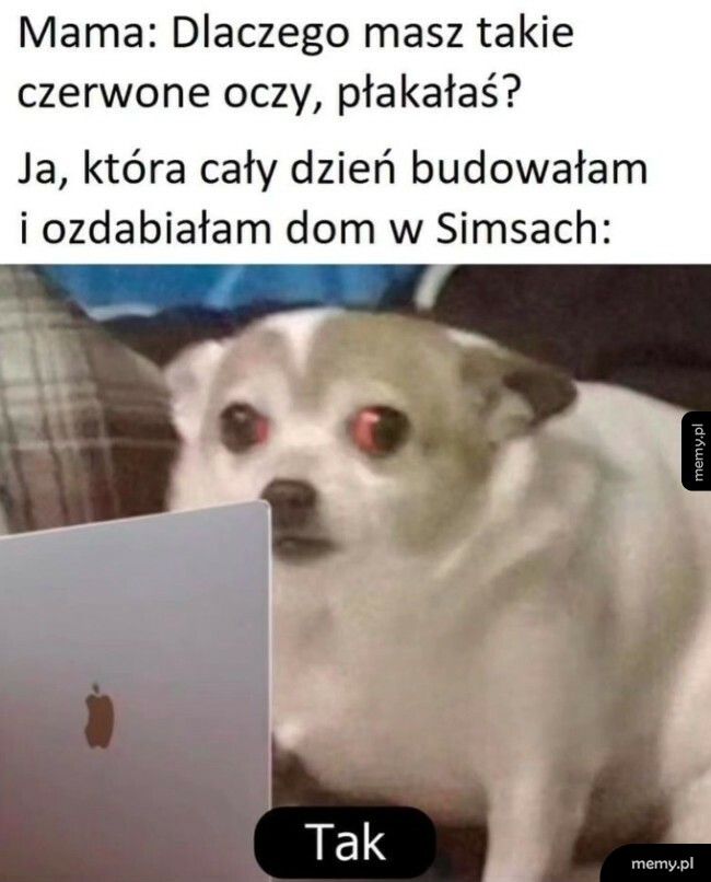 Za bardzo wciągnęło