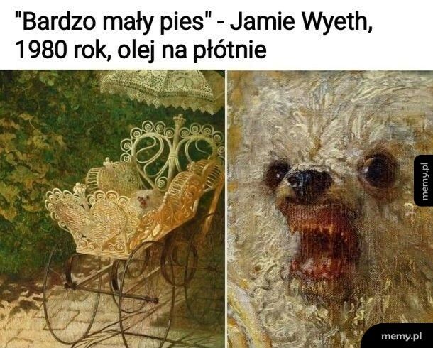 Bardzo mały pies