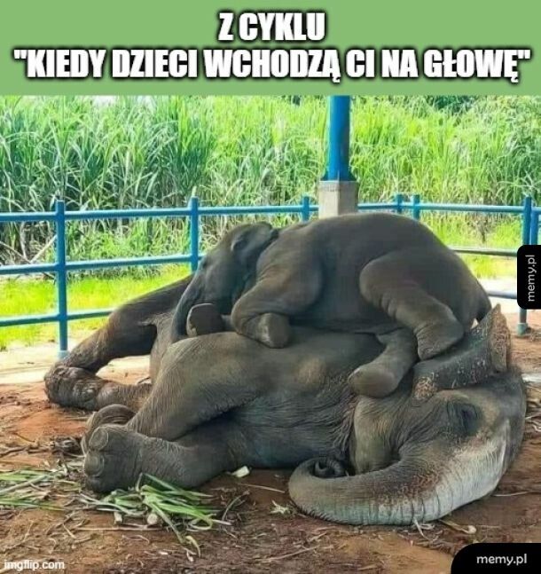 Byle tylko dało pospać