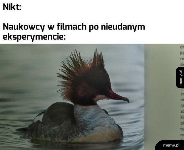 Naukowcy po nieudanym eksperymencie