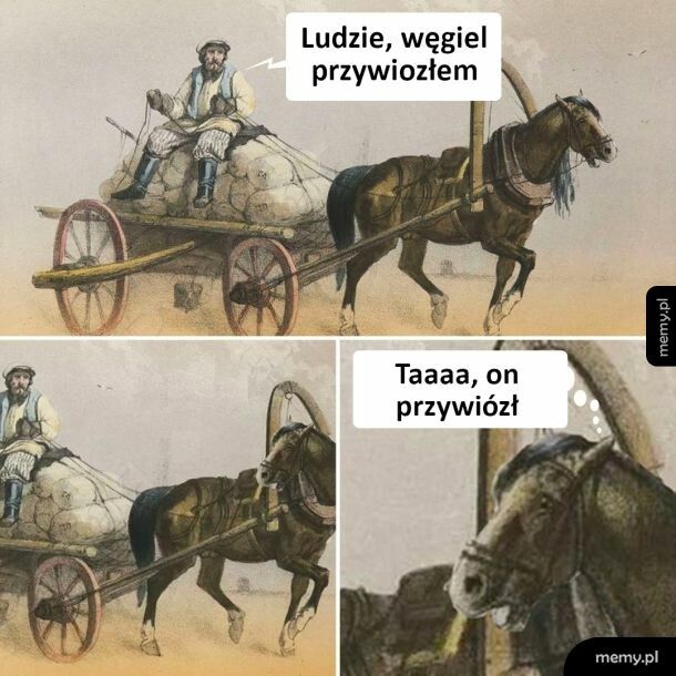 To nieźle przywiózł