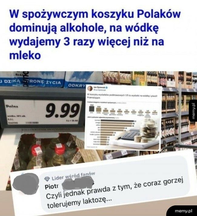 Polacy i alkohol