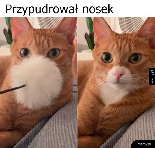 No i pięknie