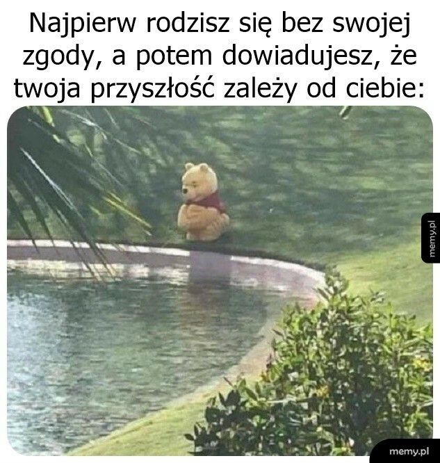 No i jak żyć?