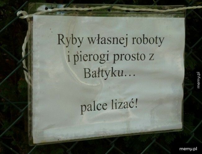 Pierogi prosto z Bałtyku