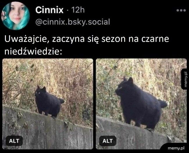 Sezon na niedźwiedzie