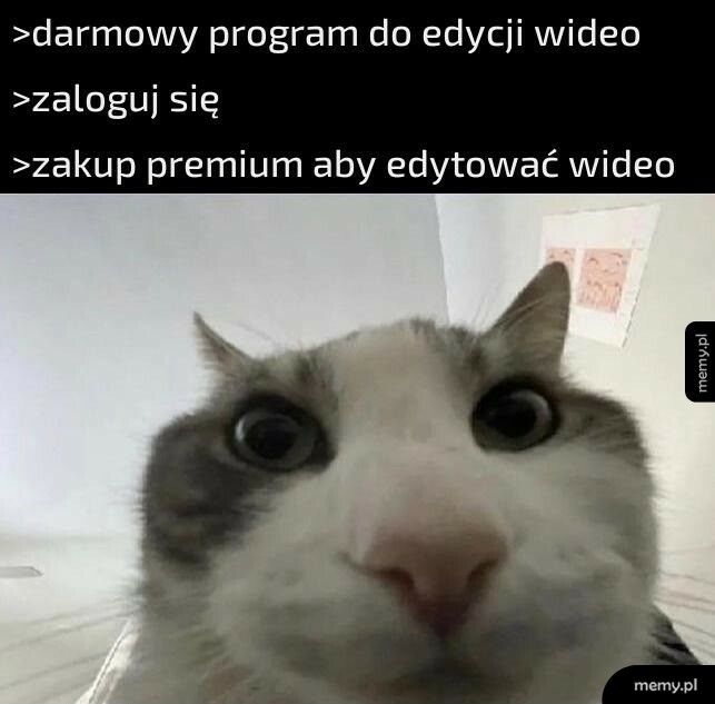 Darmowy program