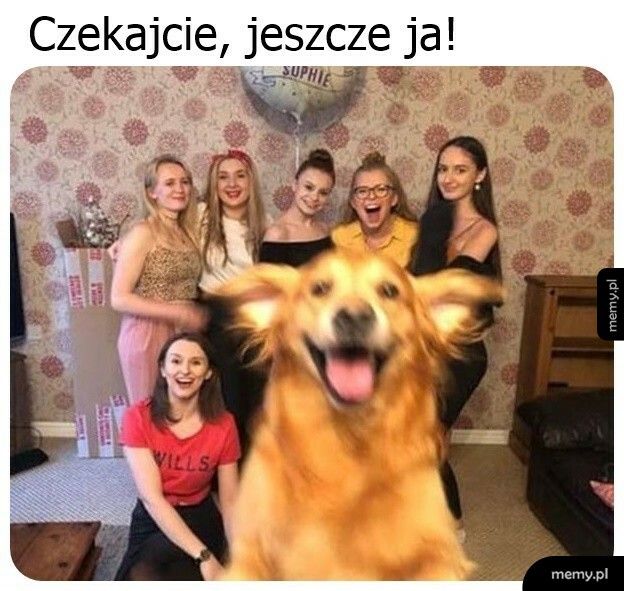 Jeszcze ja!