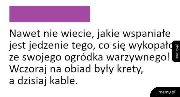 Własny ogródek warzywny