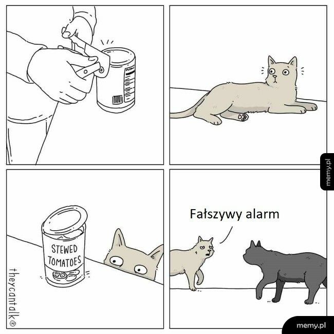 Fałszywy alarm