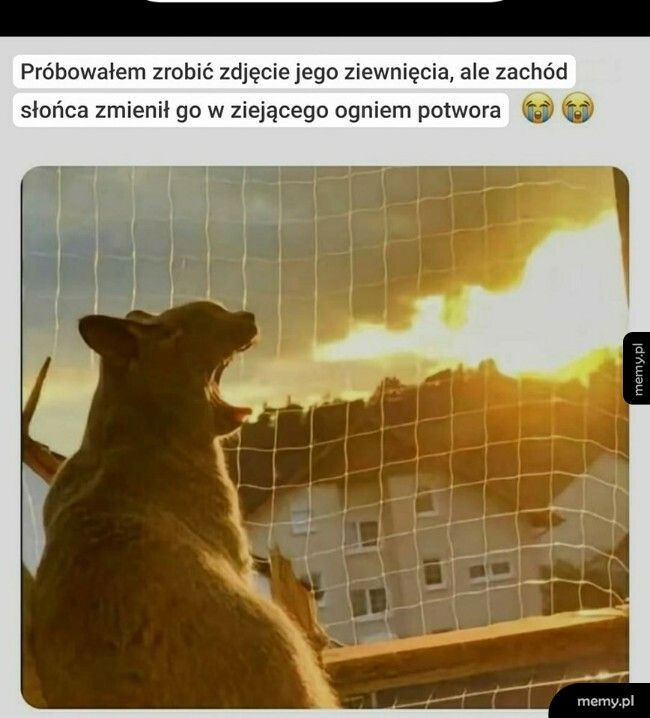 Ziejący ogniem kotwór