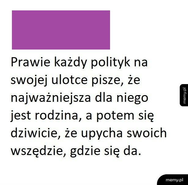 Typowy polityk